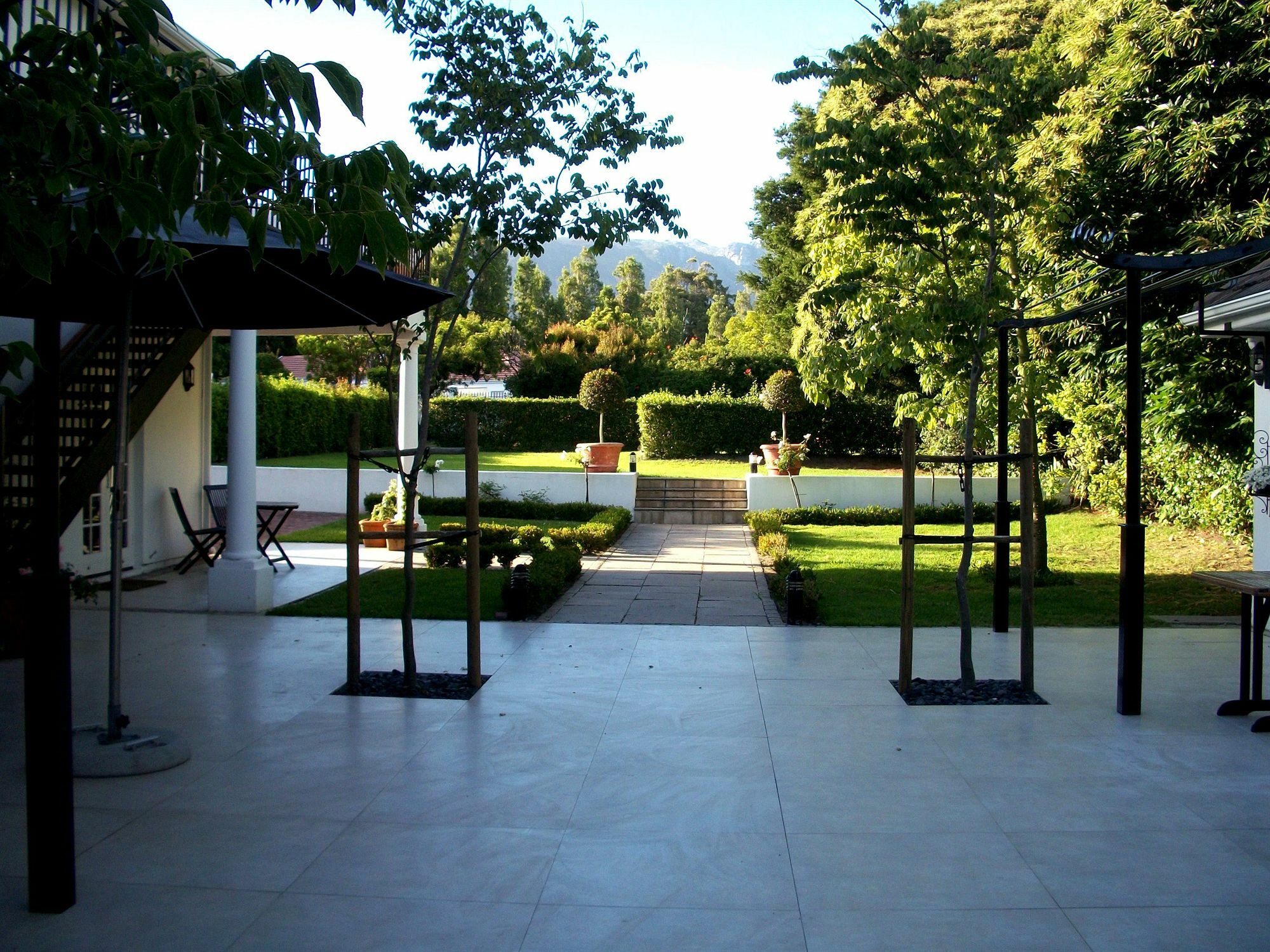 Constantia White